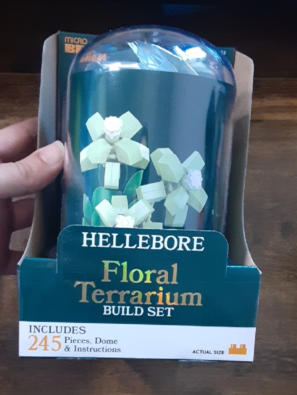 Hellebore Floral Terrarium Build Set